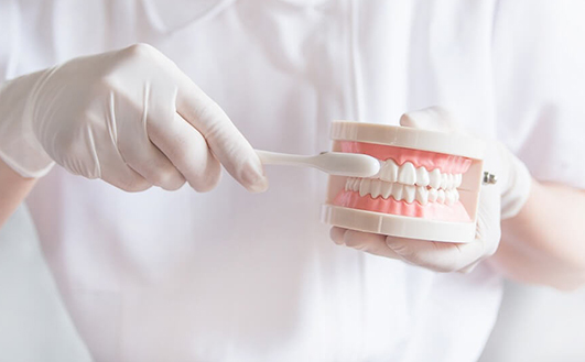 予防歯科について学べる